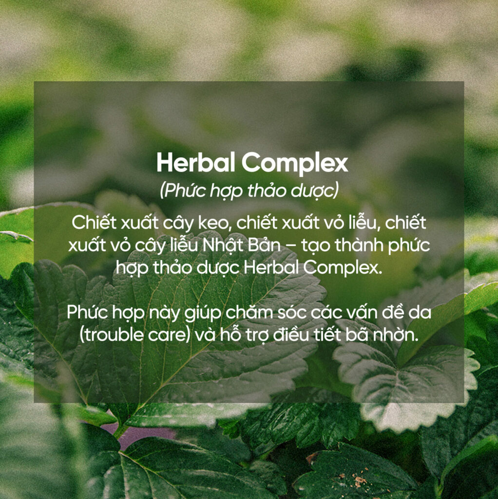 Herbal_fluid 4
