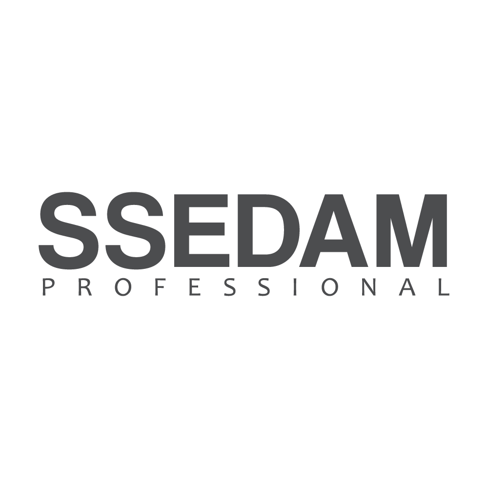 Logo-ssedam